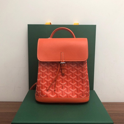 고야드 GOYARD 알핀 미니백팩 GY0159