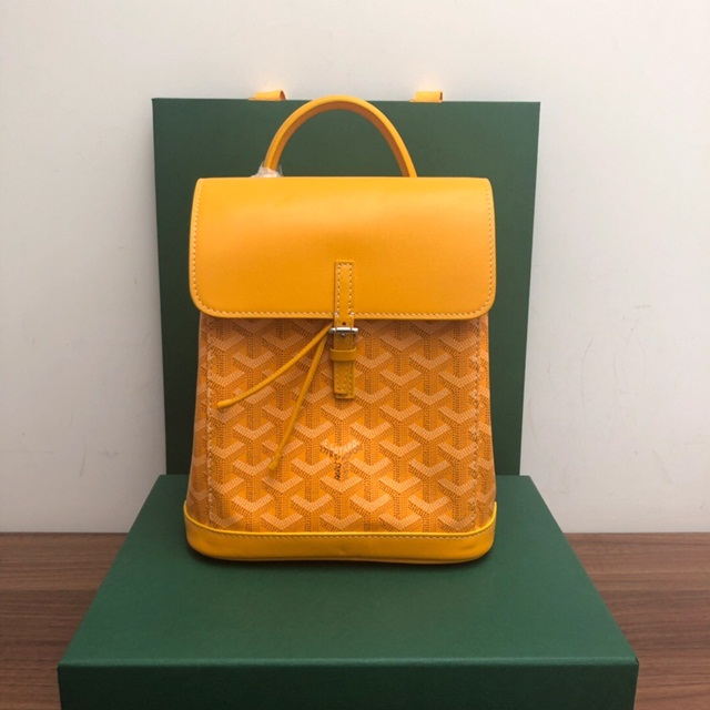 고야드 GOYARD 알핀 미니백팩 GY0161