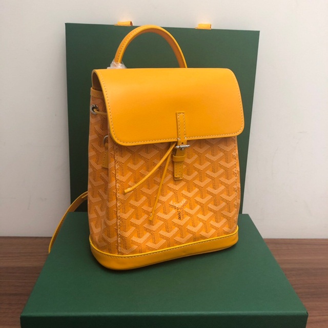 고야드 GOYARD 알핀 미니백팩 GY0161