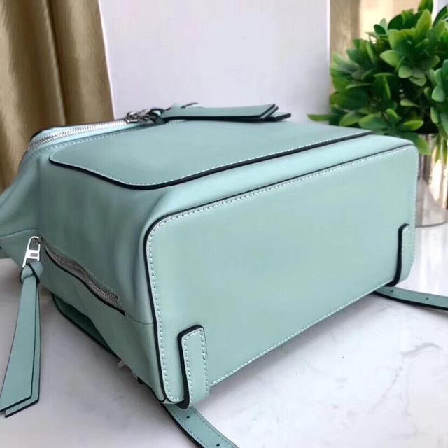 로에베 LOEWE 고야 백팩 LW0102