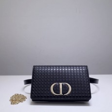 디올 DIOR 벨트백 DR509