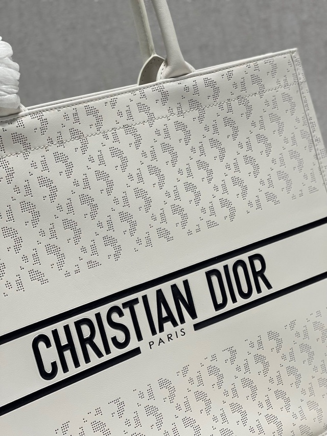 디올 DIOR 21SS 북 토트 라지백 DR735