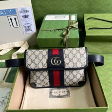 구찌 GUCCI 오피디아 벨트백 674081 GU02089